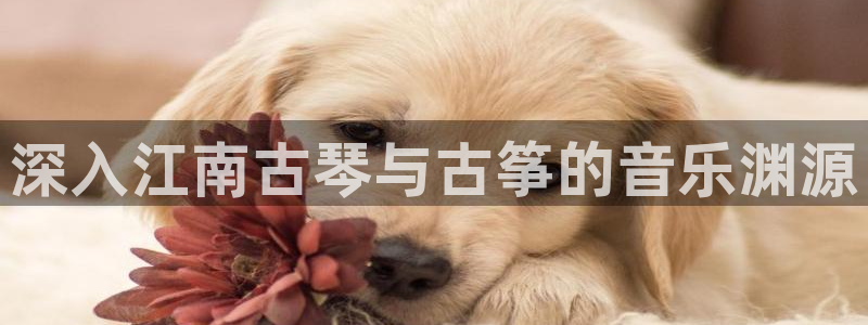 凯发平台8