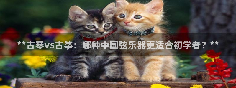 凯发旗舰平台