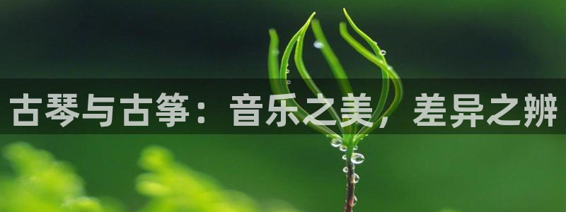 凯发手机官网