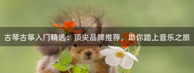 凯发平台网址