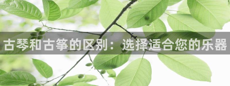 凯发k8国际真人娱乐旗舰厅