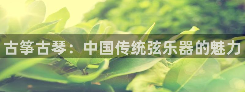 凯发k8娱乐平台能提现吗