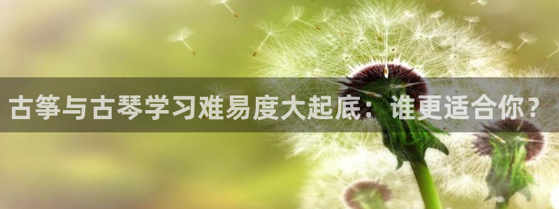 凯发网址直营