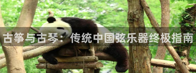 凯发娱乐官方网