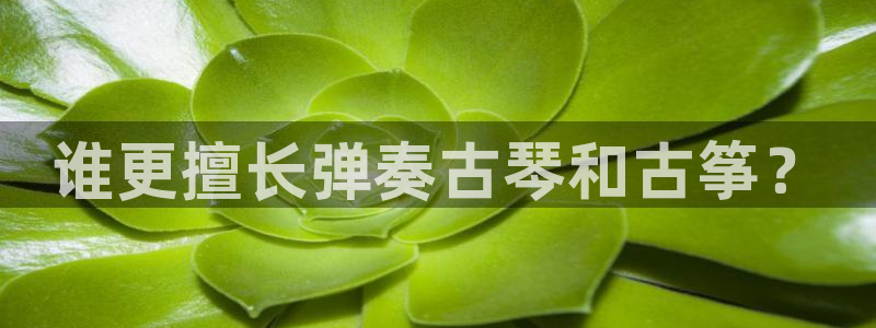凯发手机官网