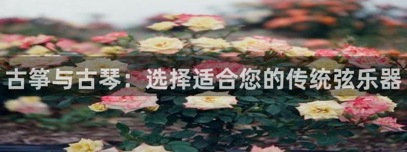 凯发官网|认准kpm