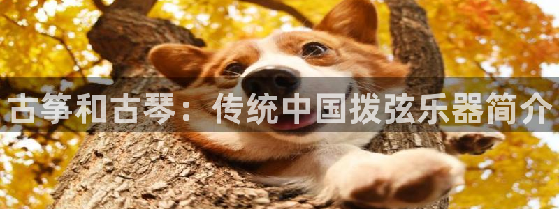 凯发旗舰客户端