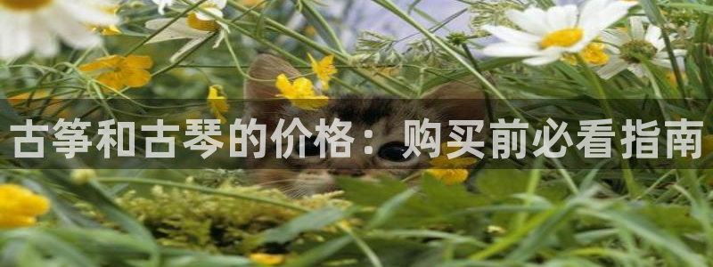 凯发平台k8