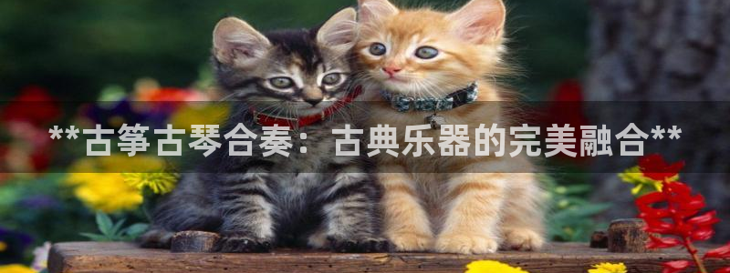 凯发k8娱乐平台下载