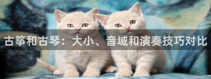 凯发手机客户端下载