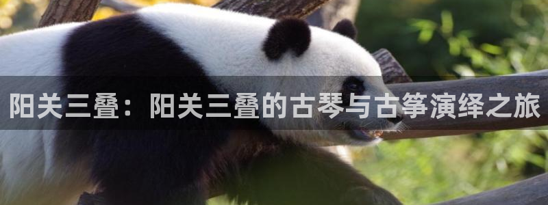 凯发k8手机是正品吗