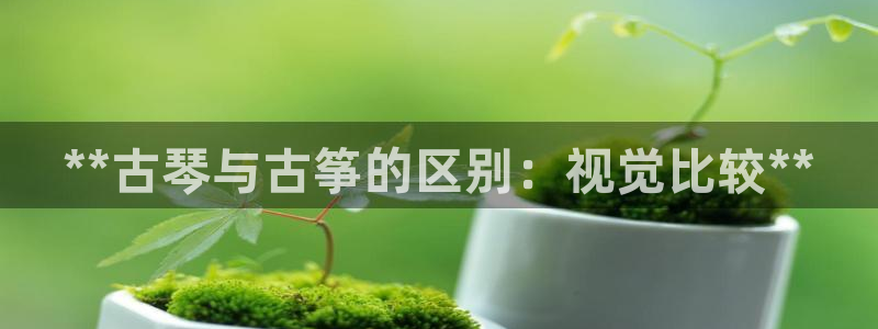 凯发正规网站