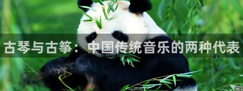 凯发平台风采