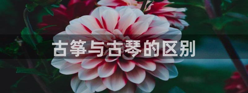 凯发平台轻7O777