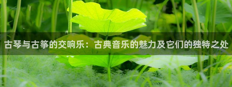 凯发app官网