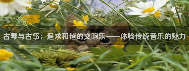 凯发平台敌7O777