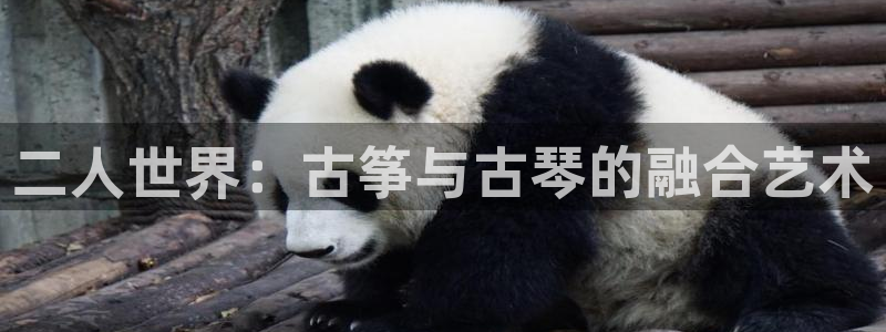 凯发国际平台首页