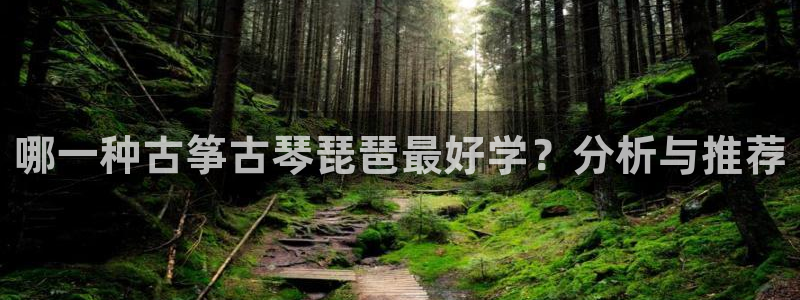 凯发国际平台登录：哪一种古筝古琴琵琶最好学？分析与推荐
