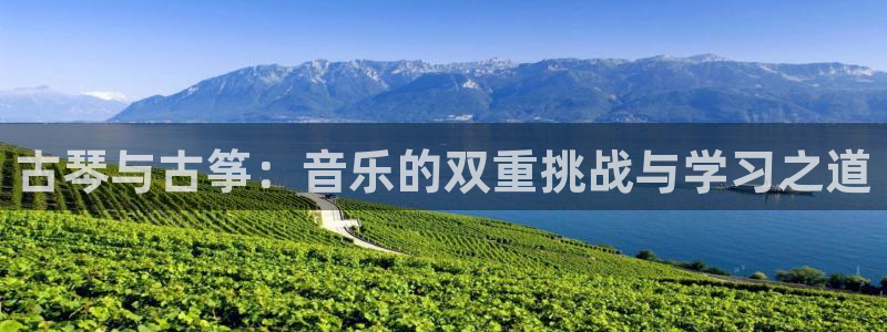 凯发k8官方网娱乐官方：古琴与古筝：音乐的双重挑战与学习之道