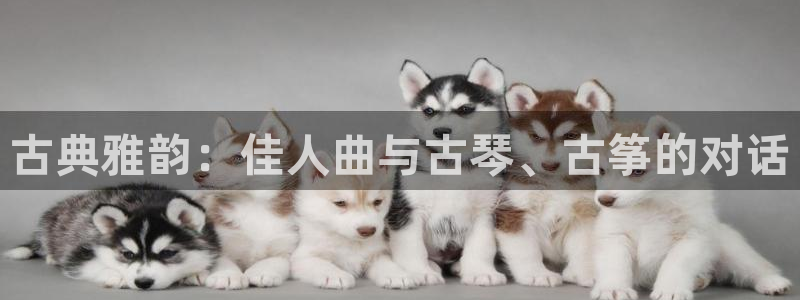 凯发网址直营