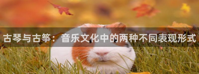 凯发平台敌7O777