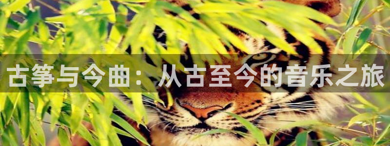 凯发平台敌7O777