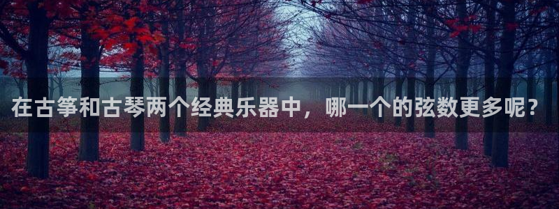 k8凯发是做什么的