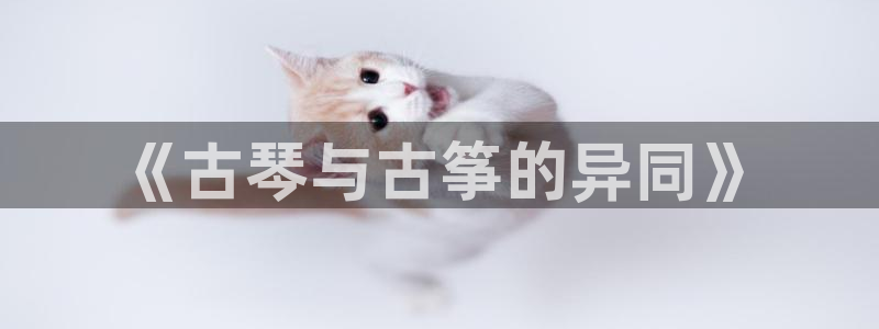 凯发国际是什么