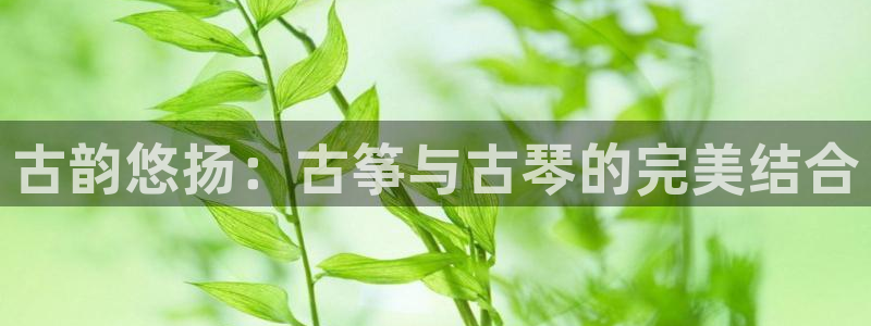凯发k8娱乐网址多少