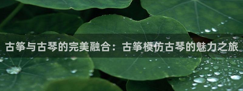 凯发k8娱乐官网旗舰厅：古筝与古琴的完美融合：古筝模仿古琴的