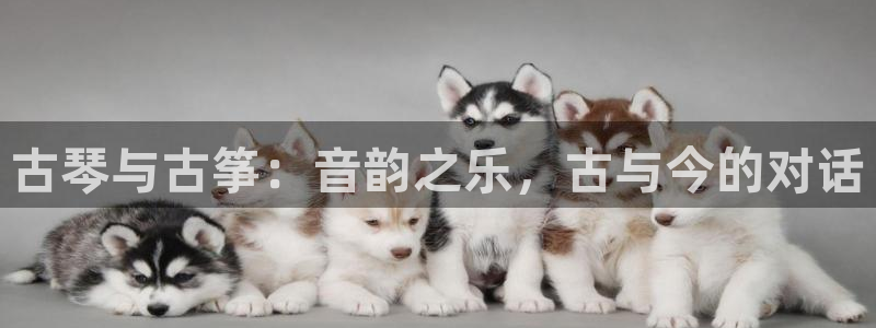凯发k8手机是正品吗：古琴与古筝：音韵之乐，古与今的对话