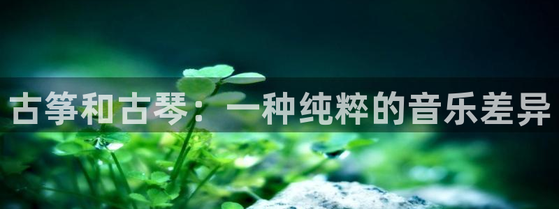 凯发网娱乐官网国际：古筝和古琴：一种纯粹的音乐差异