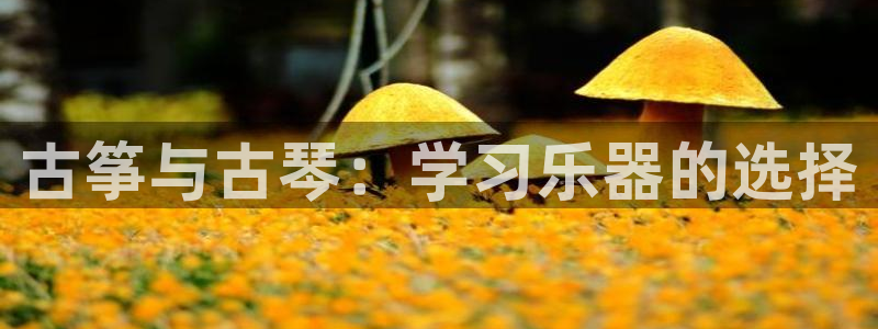 凯发娱乐k8下载