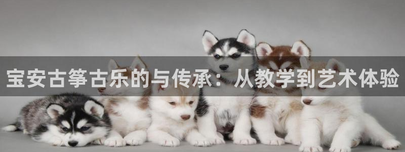 凯发k8娱乐平台