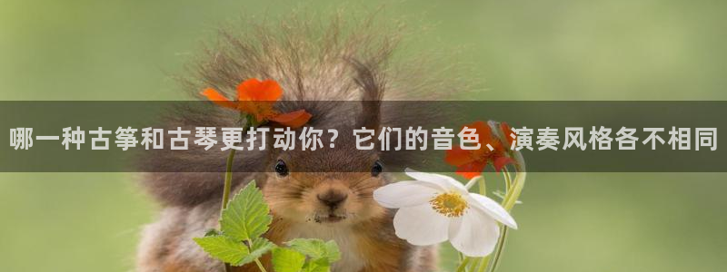 凯发k8国际手机网页