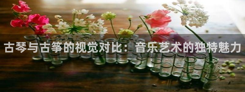 凯发网娱乐官网国际