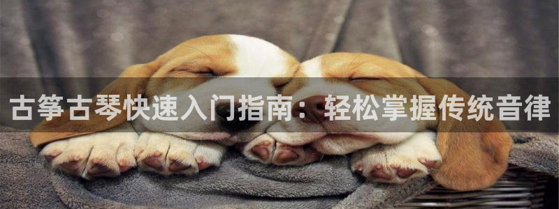 凯发在线平台官方网站