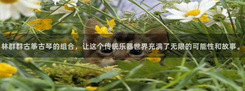 凯发k8娱乐官方下载