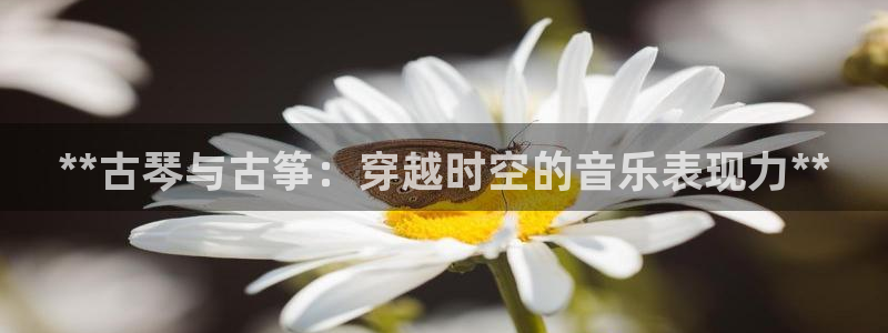 凯发官网手机app