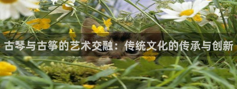 凯发k8娱乐平台能提现吗