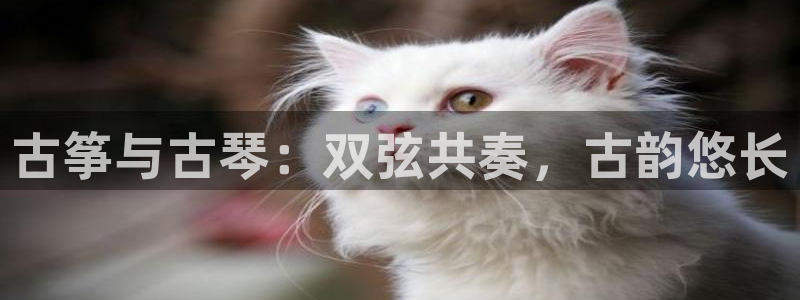 凯发k8国际 不能提款了