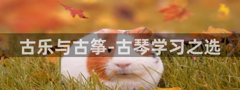 凯发k8手机网页