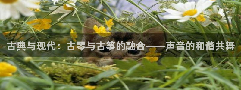 凯发国际亚洲有限公司