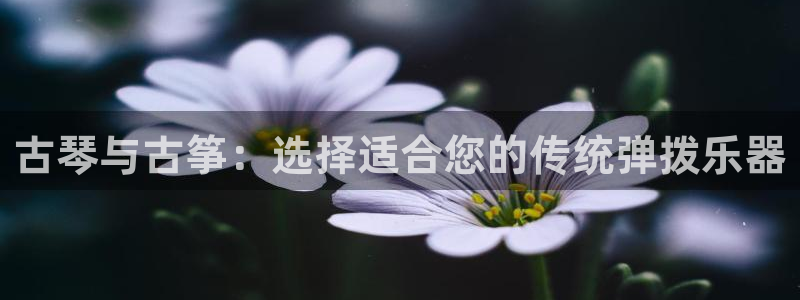 凯发最新官方app下载：古琴与古筝：选择适合您的传统弹拨乐器