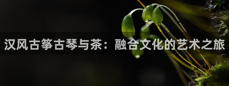 凯发娱乐唯一官网：汉风古筝古琴与茶：融合文化的艺术之旅