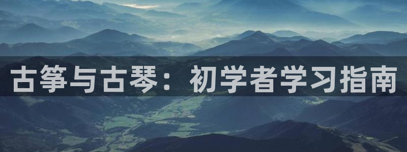 凯发k8官方旗舰店app：古筝与古琴：初学者学习指南