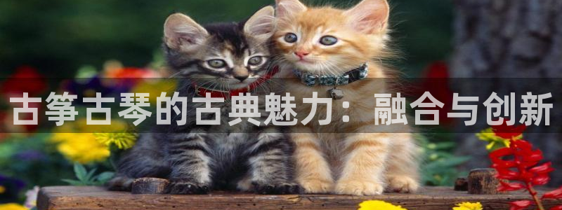 凯发平台首7O777：古筝古琴的古典魅力：融合与创新