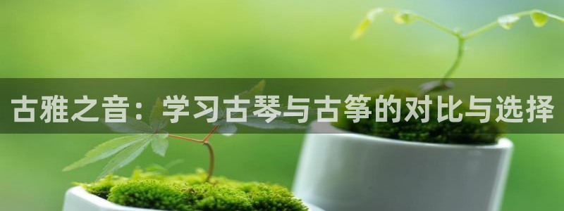 凯发平台医7O777：古雅之音：学习古琴与古筝的对比与选择