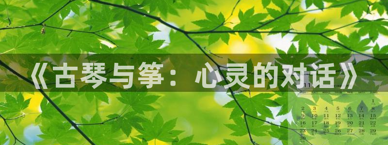 凯发国际网址官网：《古琴与筝：心灵的对话》